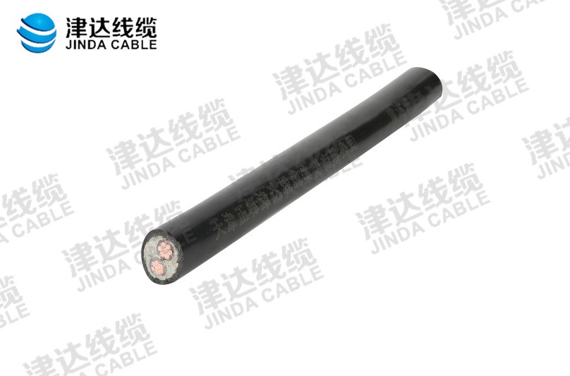 YJV 交聯(lián)聚乙烯絕緣聚氯乙烯護(hù)套電力電纜 2x16㎡.jpg